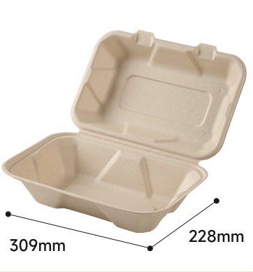 Bagasse Compostable 