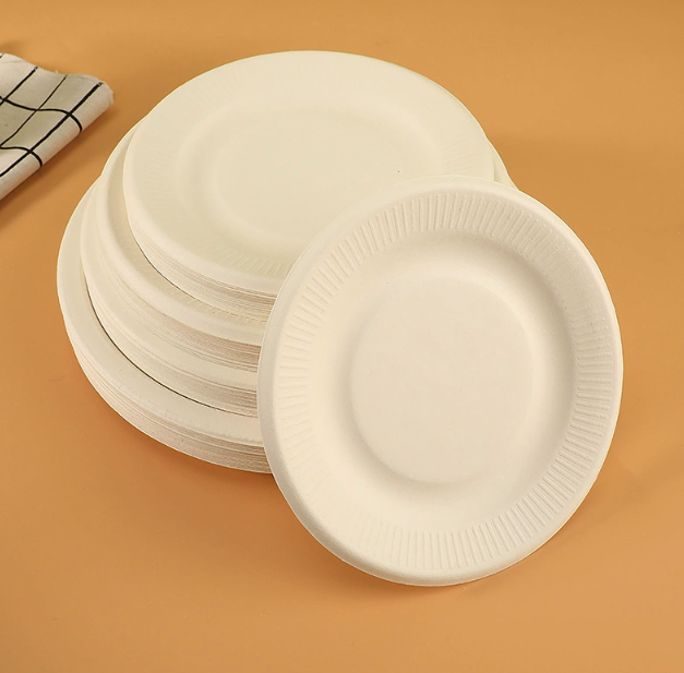 Disposable bagasse p